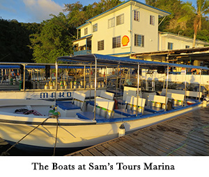 The Boats at Sam's Tours Marina