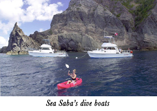 Sea Saba's dive boats