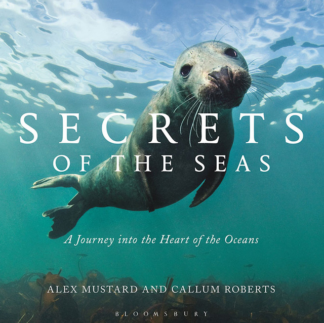 Secrets of the Seas by Alex Mustard and Callum Roberts