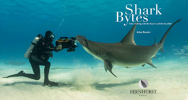Shark Bytes