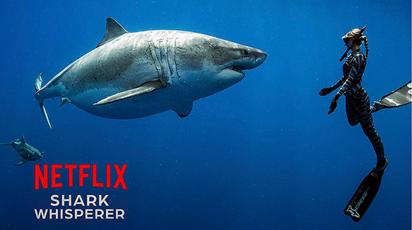 Shark Whisperer by Netflix