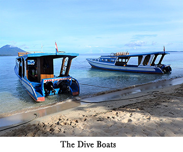 Siladen Resort Dive Boats