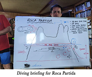 Diving briefing for Roca Partida