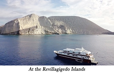 At the Revillagigedo Islands