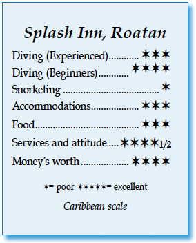 Splash Inn's rating