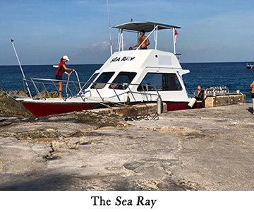 The Sea Ray