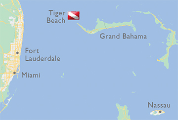 Tiger Beach in Grand Bahama - Map