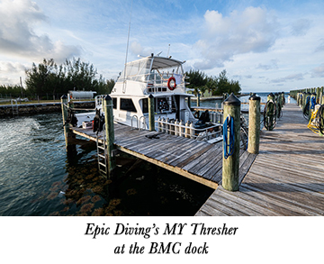 Epic Diving's MY Thresher
at the BMC dock
