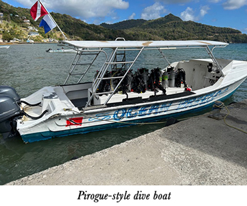 Pirogue-style dive boat