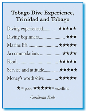 Tobago Dive Experience - Rating