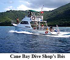 Cane Bay Dive Shop's Ibis