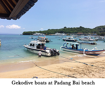 Gekodive boats at Padang Bai beach