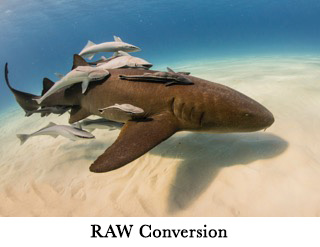 Raw Conversion image