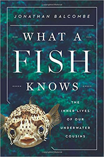 Book: What a Fish Knows by Jonathan Balcombe