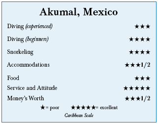 Akumal, The Yucatan Peninsula, Mexico